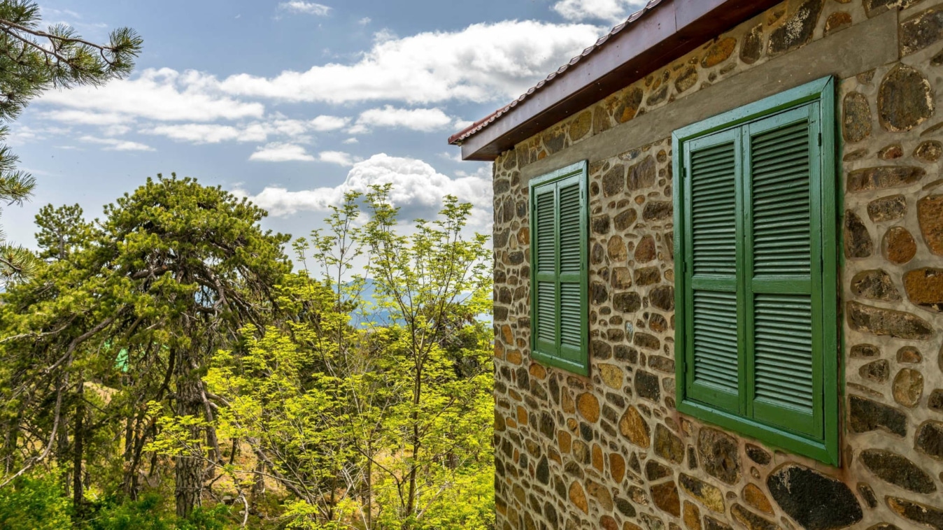 The side of a building with green shutters. Trees and the sky are in the background.