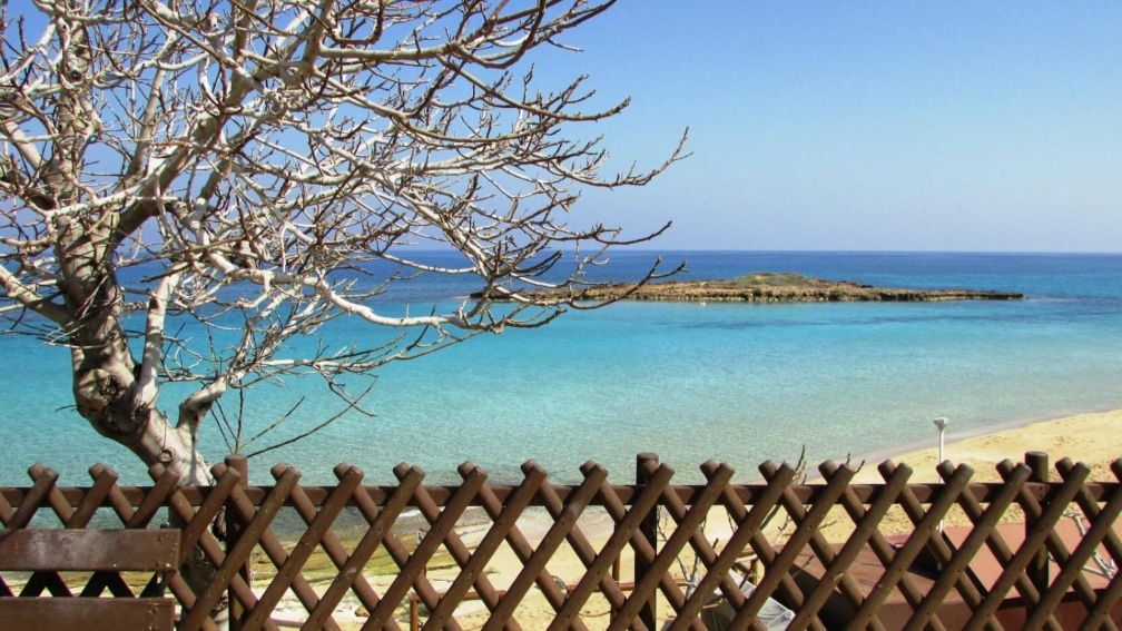 A wooden fence with a tree in the foreground, the beach and sea are in the background