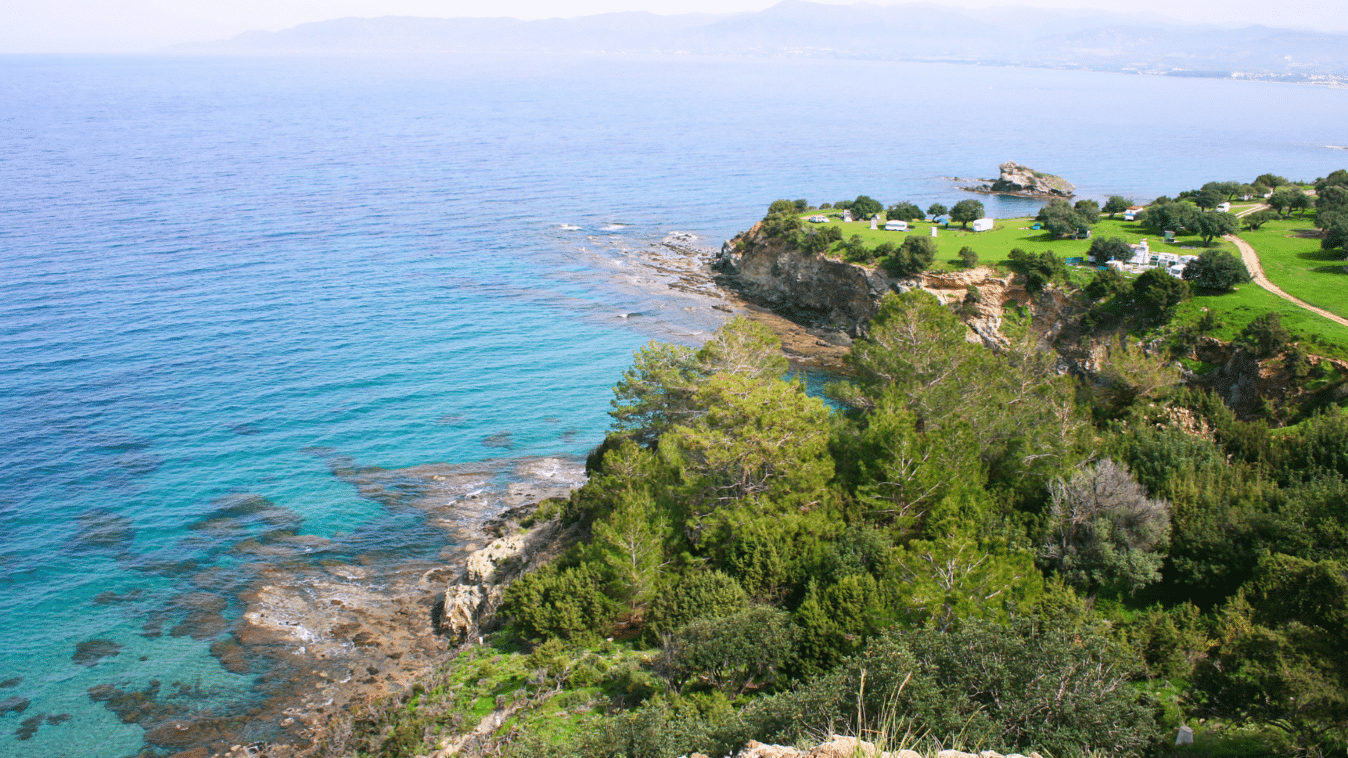 A grassy bank with bushes and trees. Rocks and the sea are below.