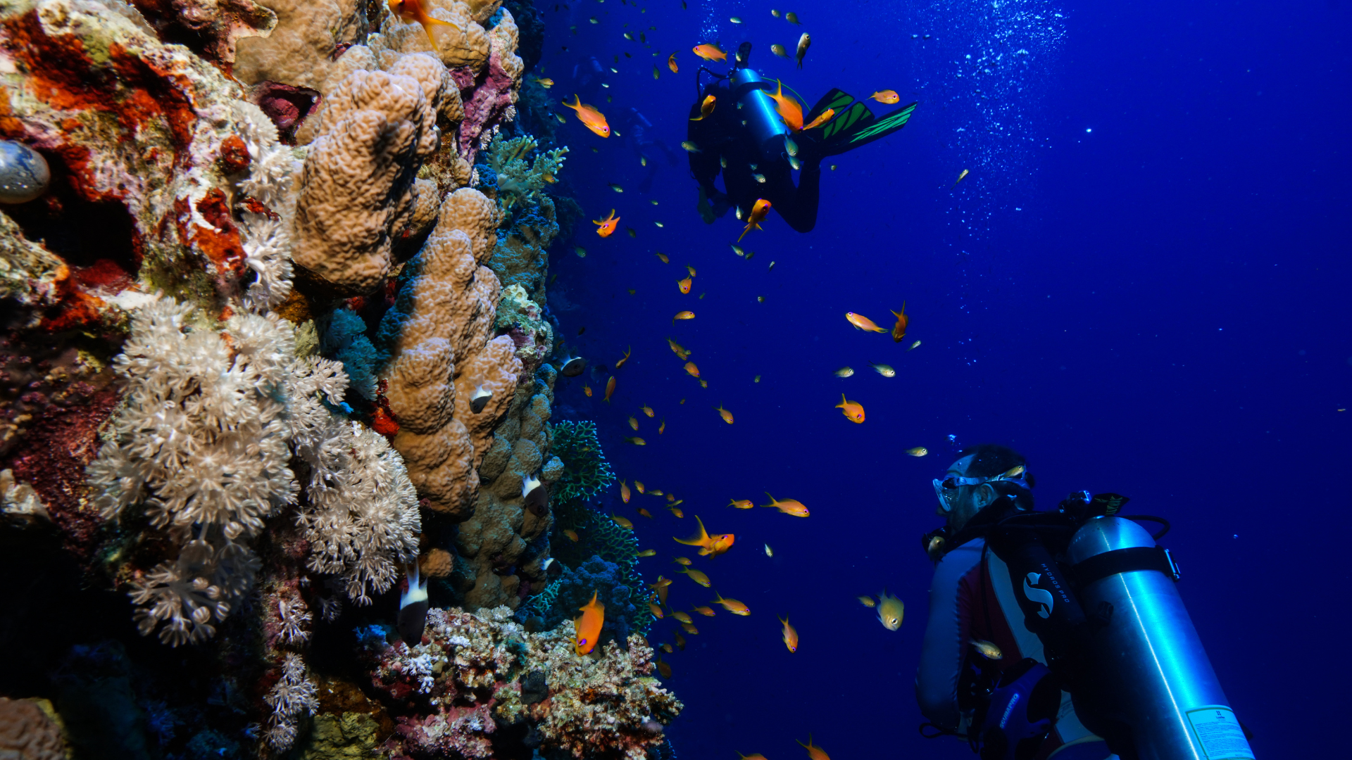 Diving is one of the best things to do in Cyprus for underwater lovers