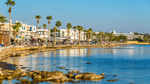 A landscape photo of the sea, and a walkway lined with palm trees and buildings.