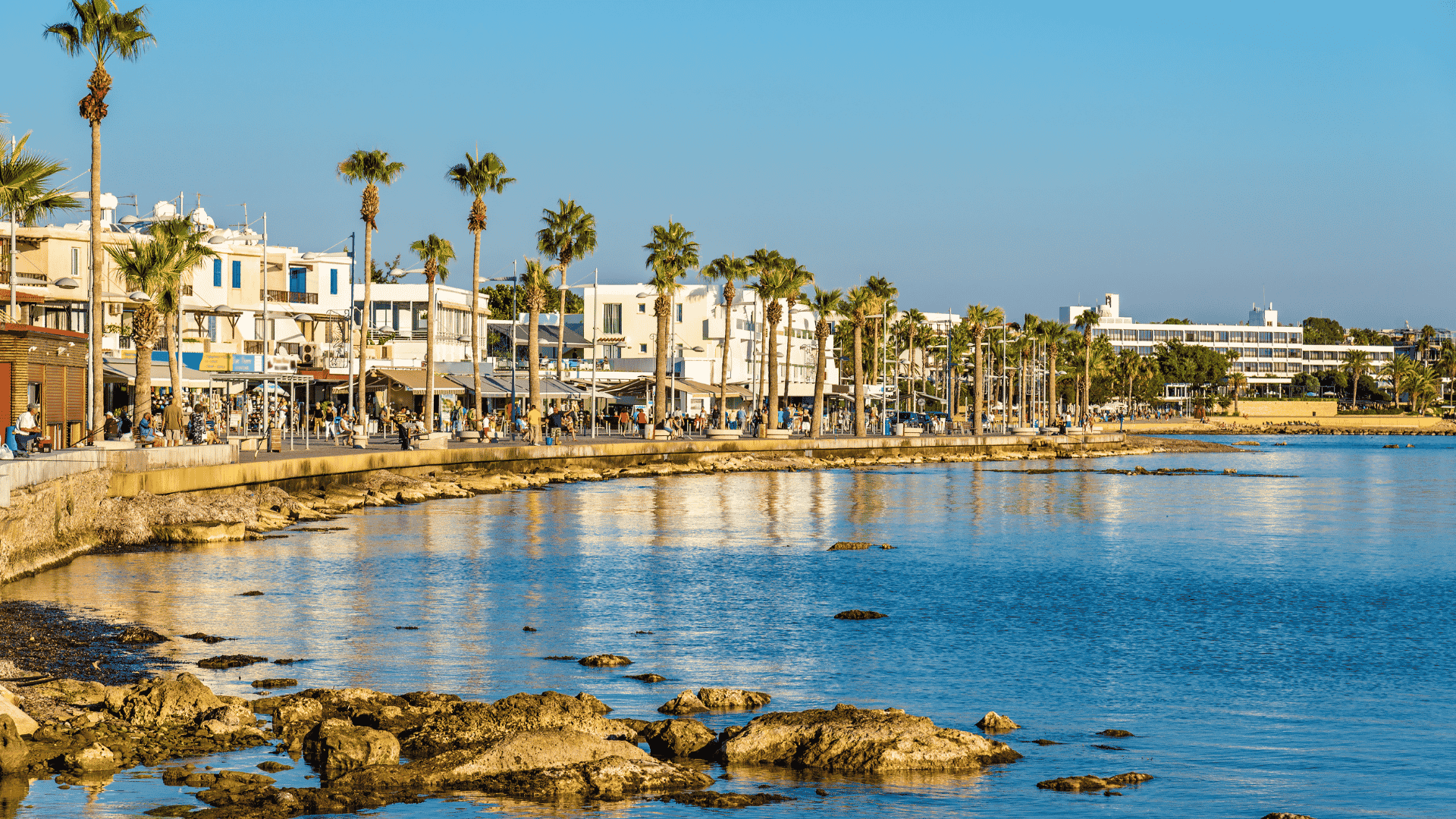 A landscape photo of the sea, and a walkway lined with palm trees and buildings.