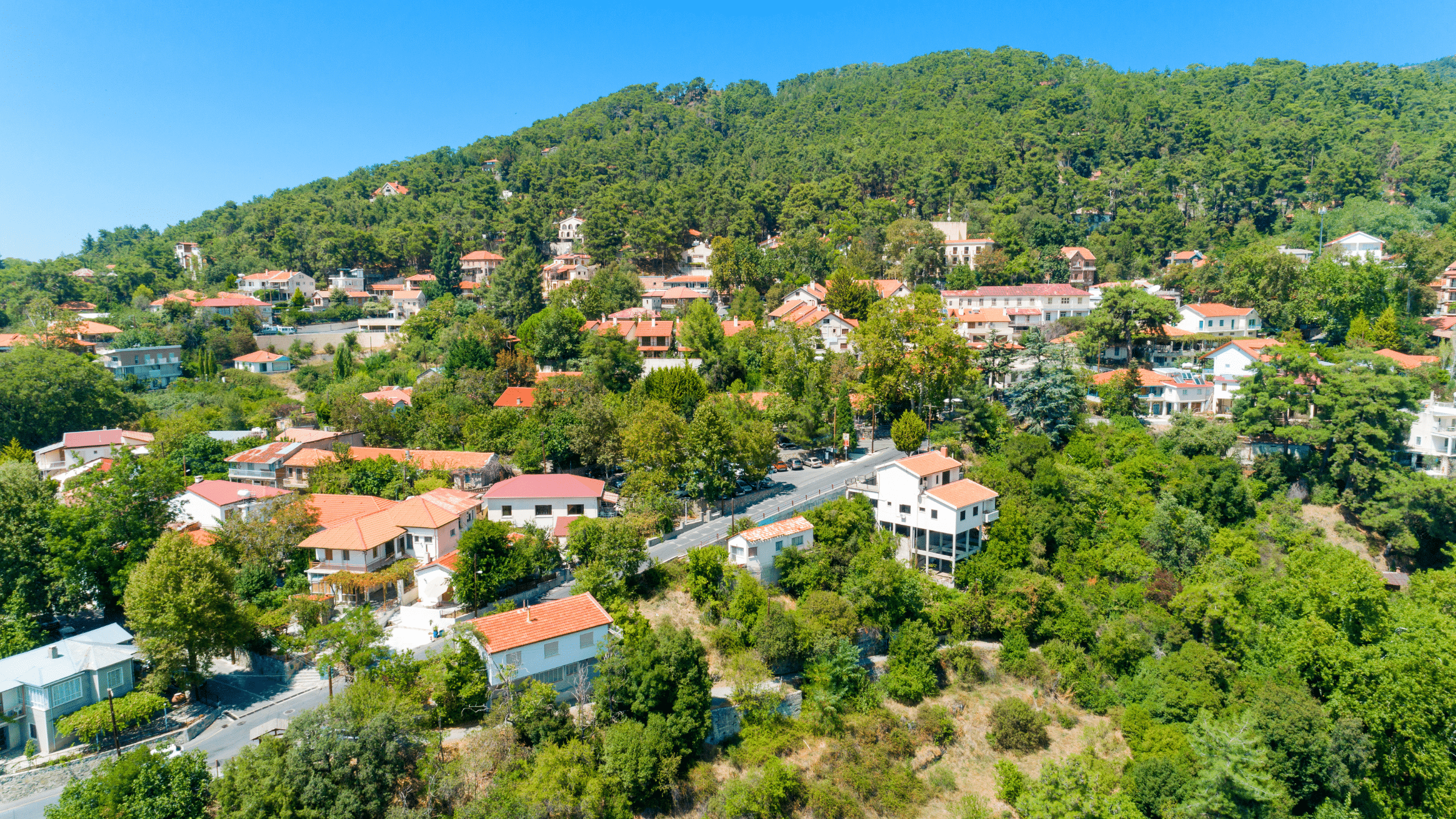 A high angle photo of apartment buildings surrounded by trees and a road in the middle.