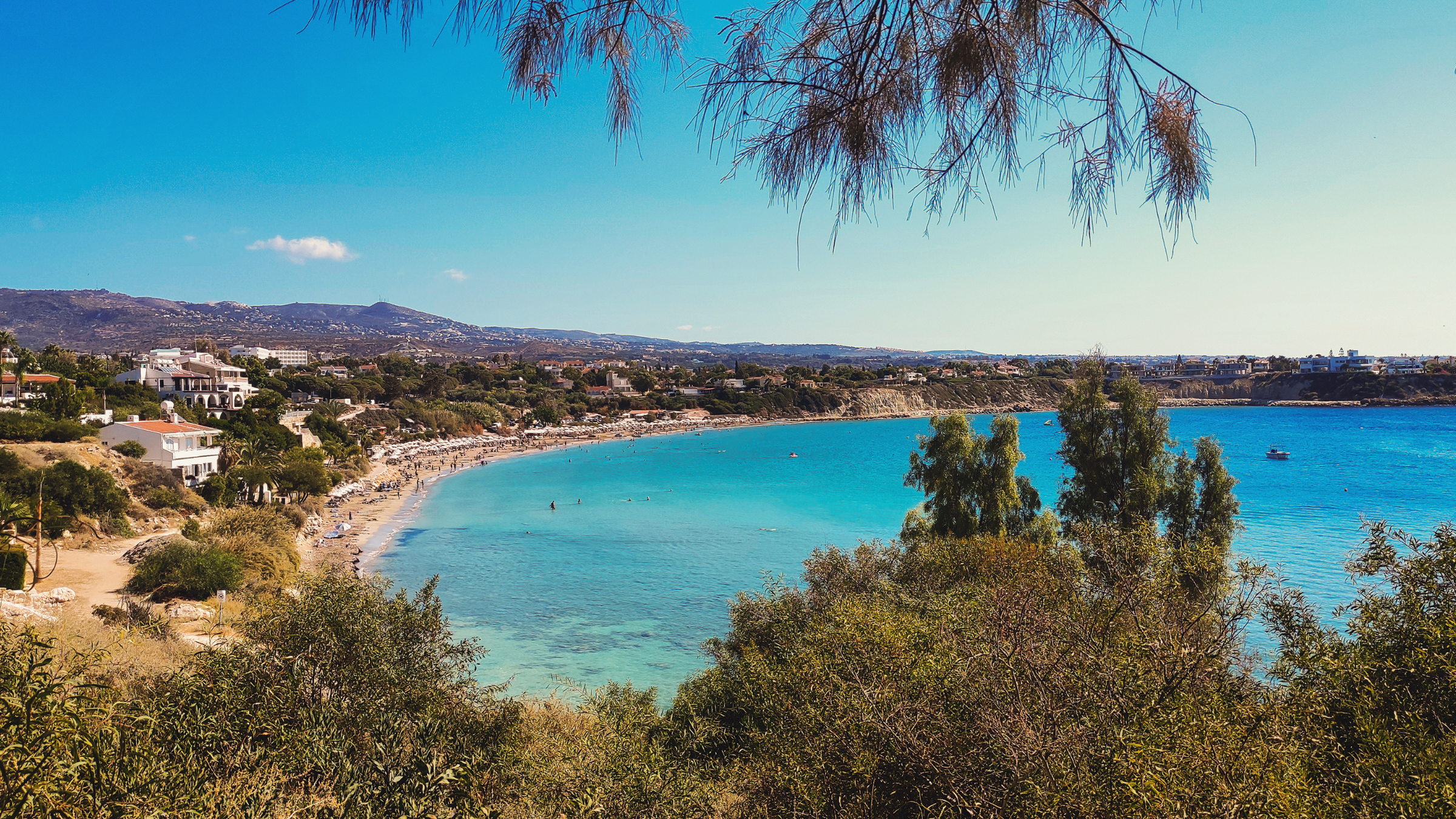 A landscape photo of the sea and sky, surrounded by trees in the foreground, and a beach.