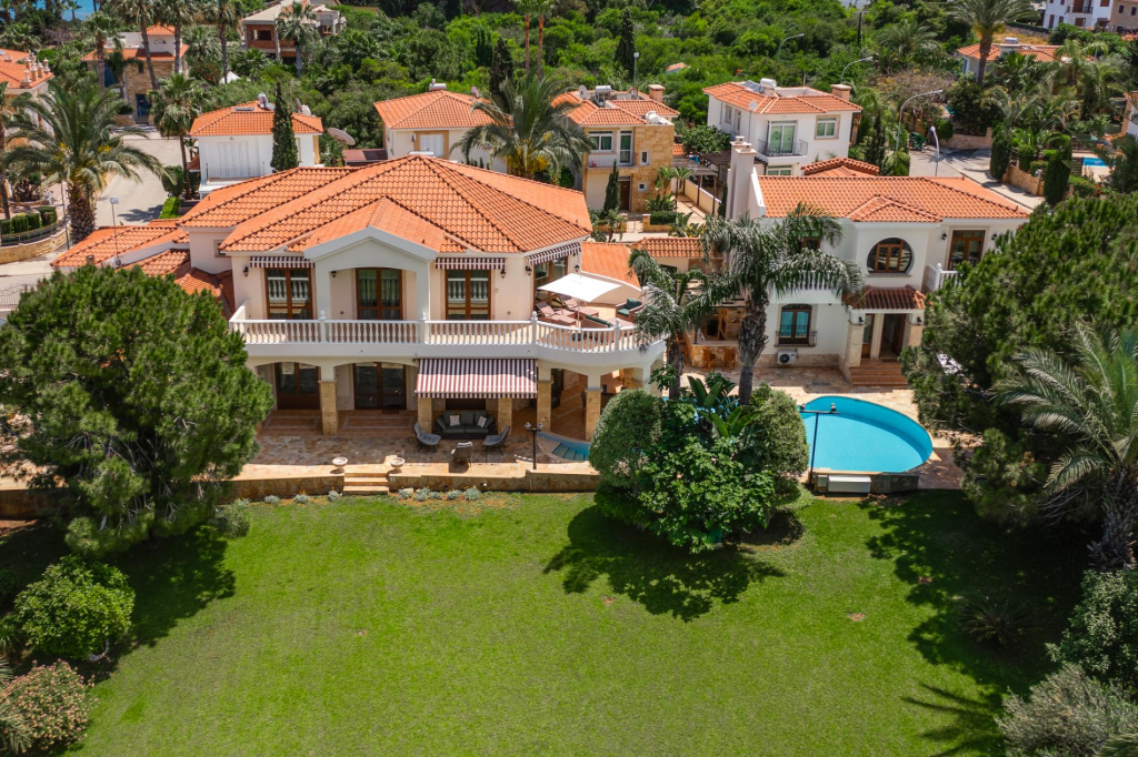 Albero Bella Villa 2